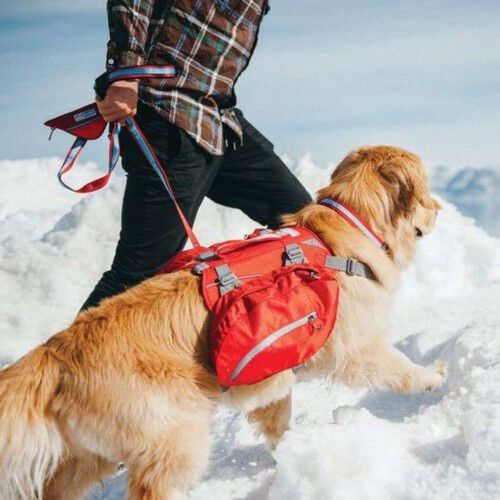 Alforja para perro sales