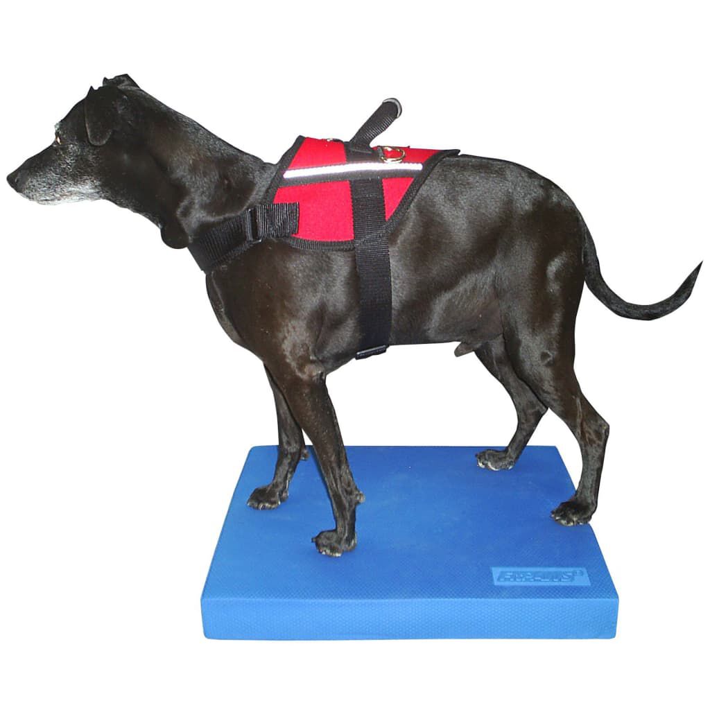 FitPAWS Colchoneta de equilibrio para mascotas azul 38x46x5 cm, , large Imagen numero 3