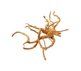 Madera Spider L
