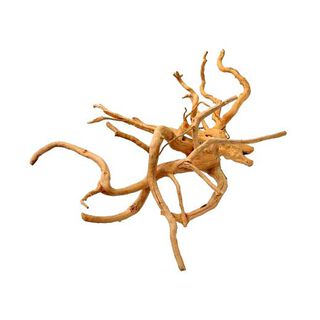 Madera Spider L