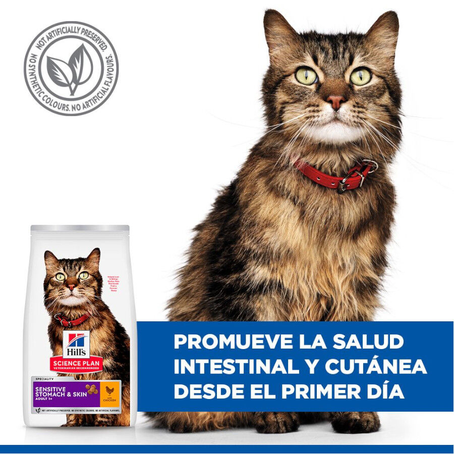 1.5 kg Hill's Adult Science Plan Sensitive Stomach Pollo pienso para gatos, , large Imagen numero 6