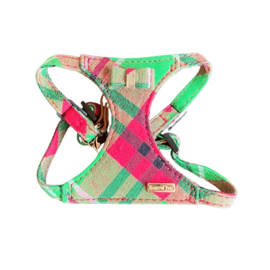 Arn&eacute;s para perros MENTA, , large Imagen numero 1