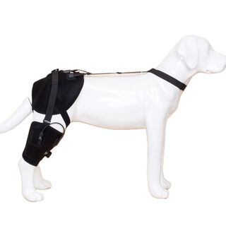 Petietec Arnés de cadera y rodillera/codera para terapia térmica para perros