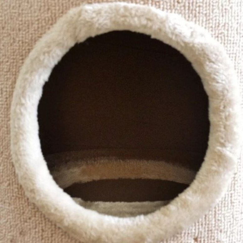 Casita con rascador para gatos color Beige, , large image number null