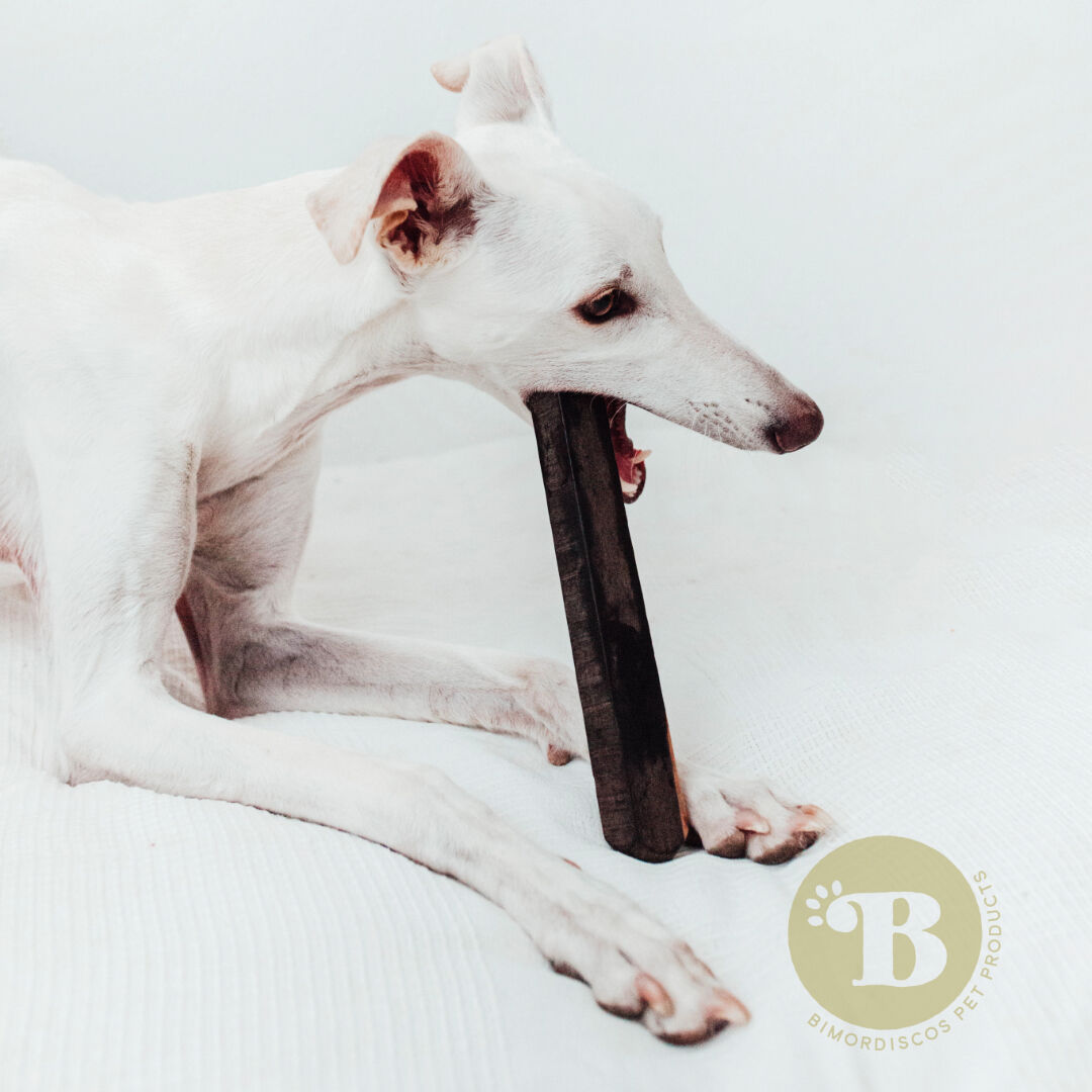 BIMORDISCOS Madera de &Eacute;bano para perros Pack 2 x L, , large Imagen numero 3