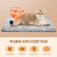 Nobleza Manta Térmica para Gato, Manta Autocalentable para Gatos y Perros - sin Electricidad y baterías,Cojín de Calor Lavable, 50 x 70cm, , large indicador imagen numero 3