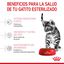 3.5 kg Royal Canin Kitten Sterilised pienso para gatos, , large indicador imagen numero 6