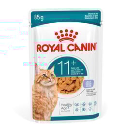 Royal Canin Ageing +11 Comida Húmeda en Gelatina para gatos senior