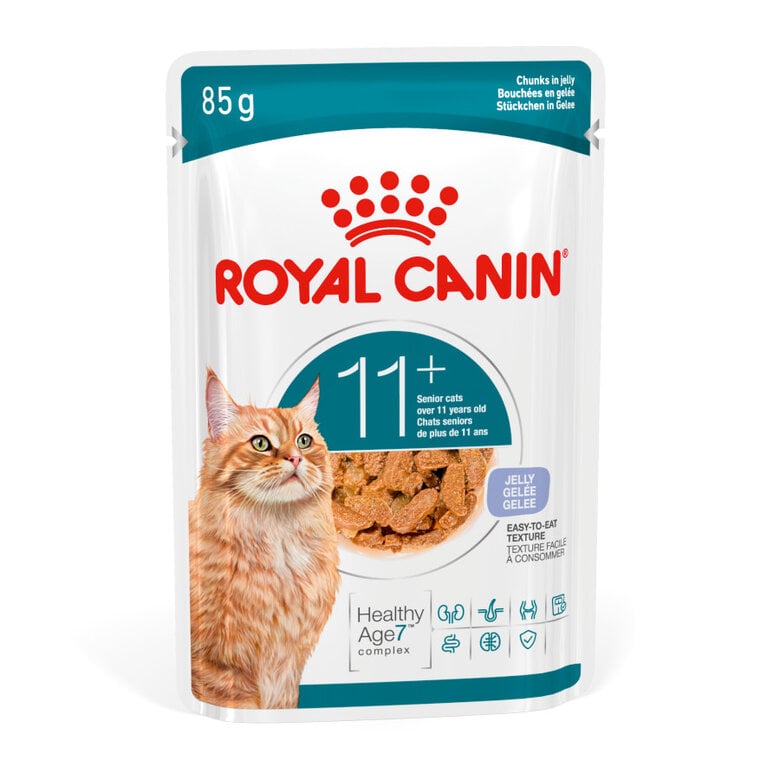Royal Canin Ageing 11+ Comida Húmeda en gelatina para gatos senior