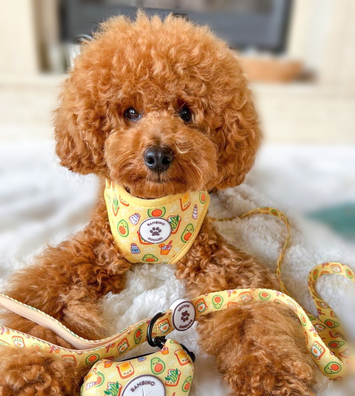 Arn&eacute;s ajustable para perros Breakfast, , large Imagen numero 3