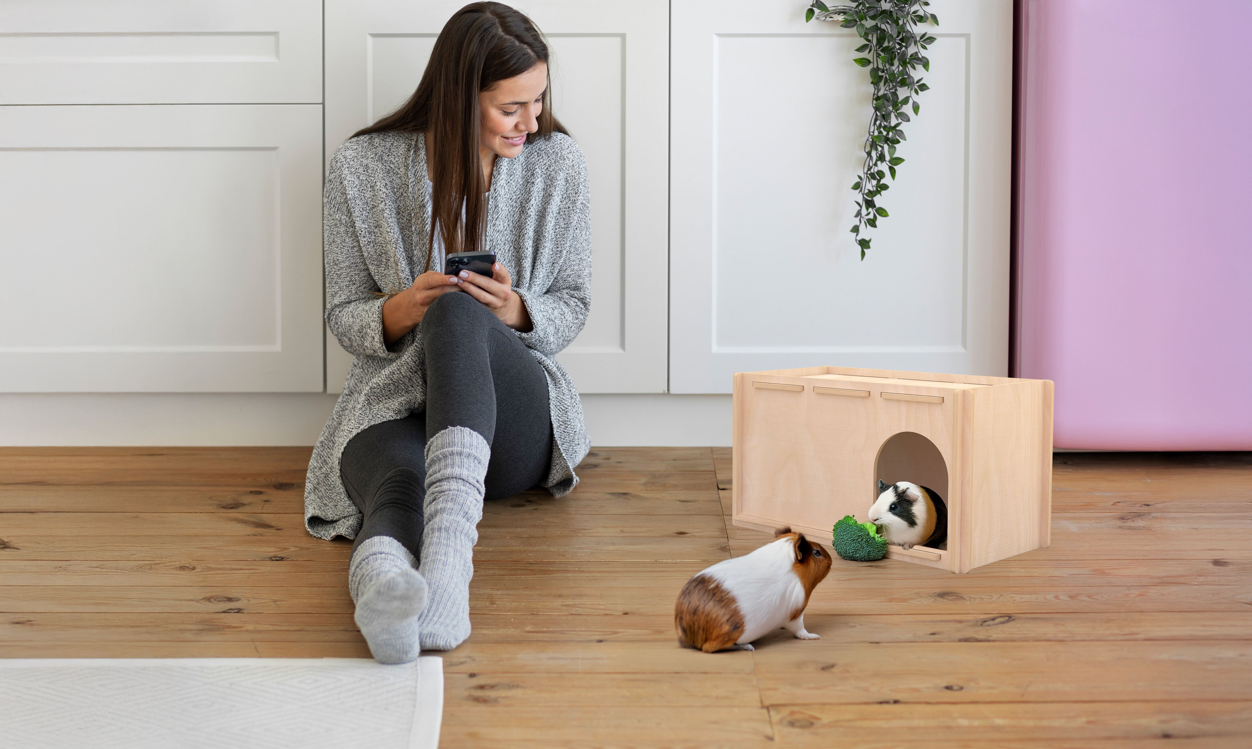 Compact MOB Refugio Roedores thumbnail