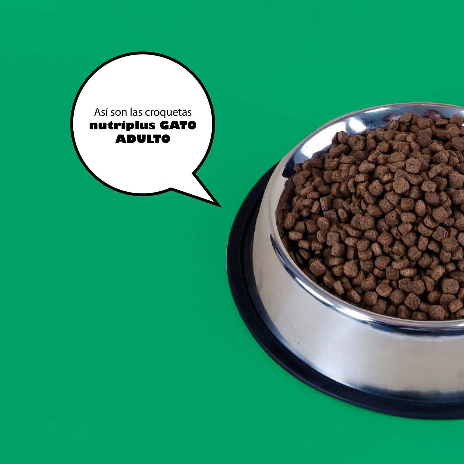 Pienso para gatos adultos sabor Pollo, , large Imagen numero 3