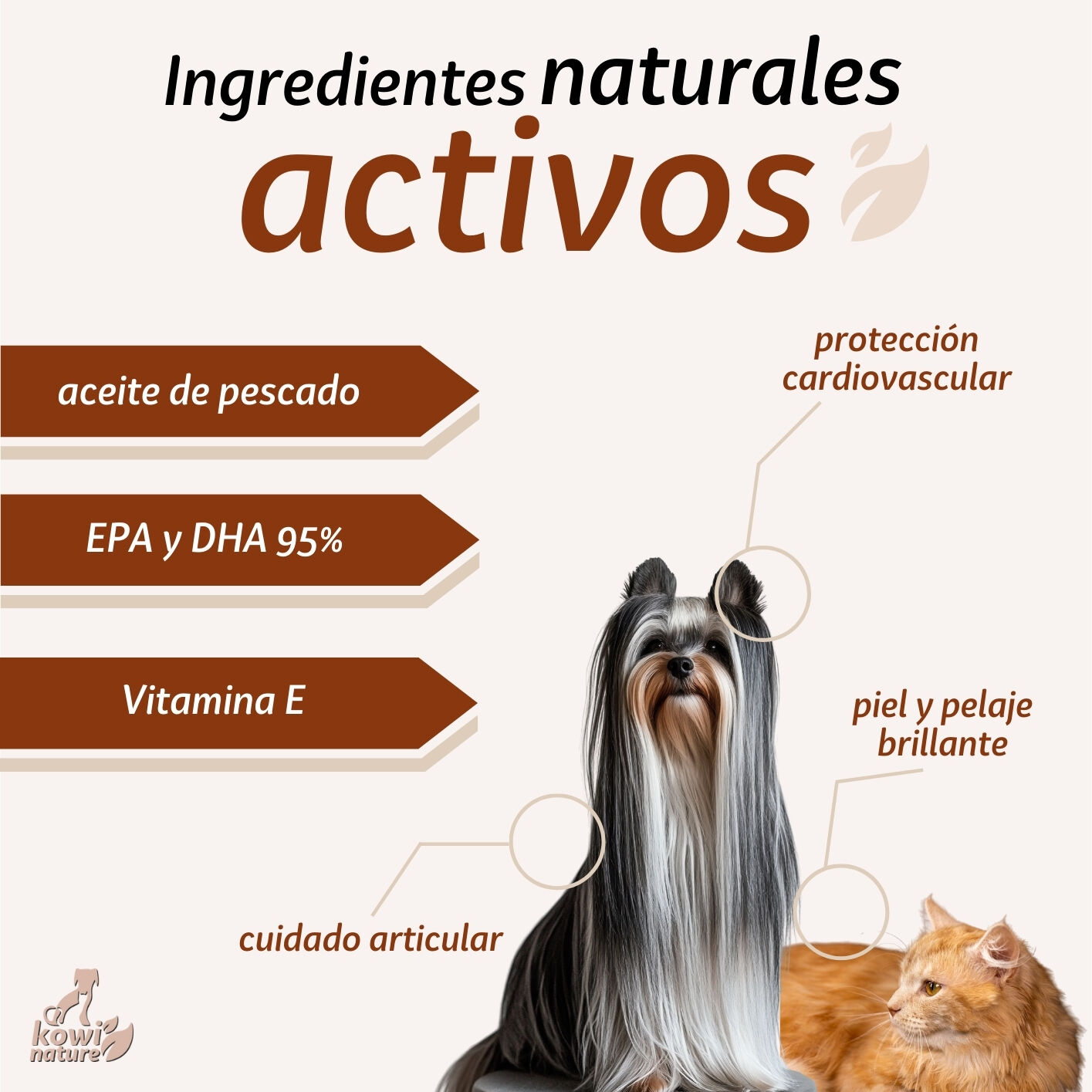 Kowi Omega 60 Perlas, , large Imagen numero 3