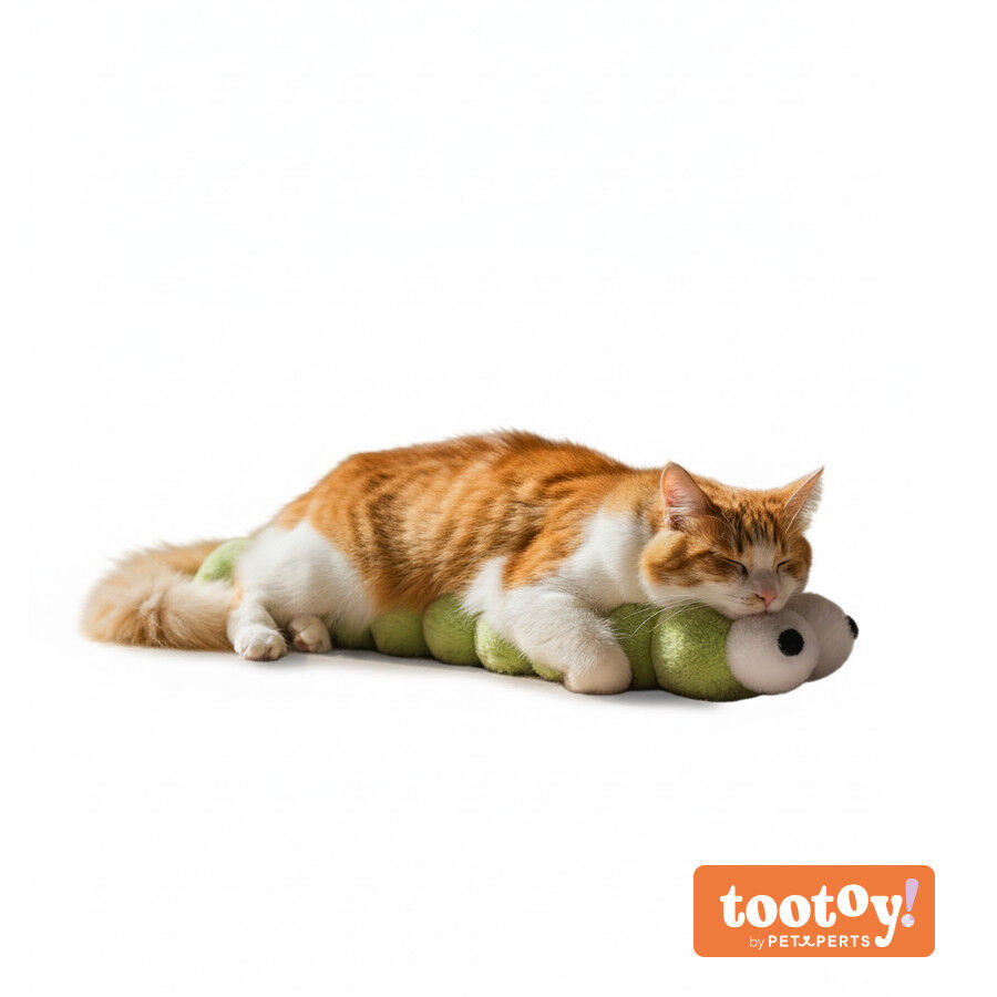 Tootoy! Gusano de Peluche Suave Verde para gatos, , large Imagen numero 9
