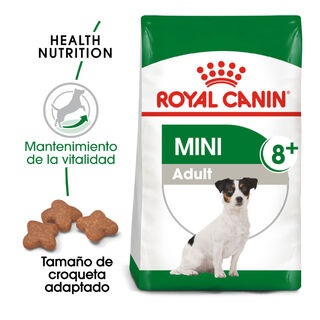 Royal Canin Mini +8 Adult pienso para perros