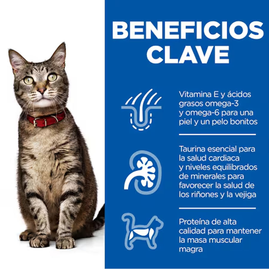 Hill&#039;s Science Plan Adult Pollo, Pescado Azul y Vacuno en Salsa sobre para gatos thumbnail