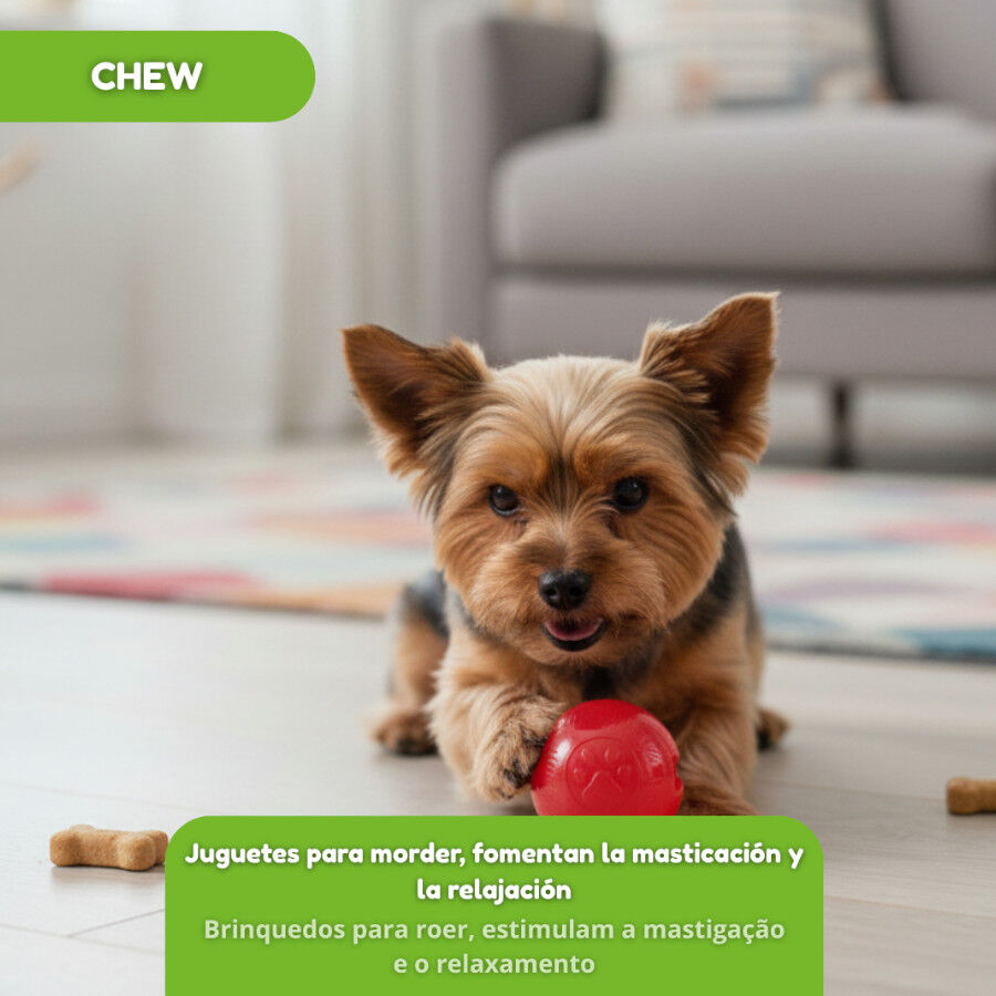 Tootoy! Pelota Toughie Rubber de Goma Roja para perros, , large Imagen numero 7