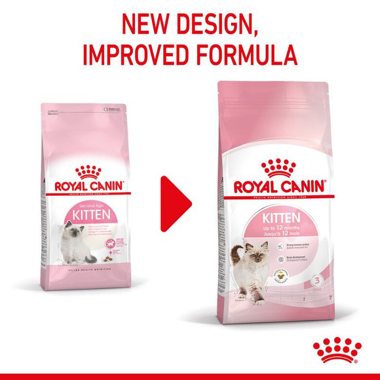 Royal Canin Kitten pienso para gatos, , large image number null