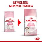 Royal Canin Kitten pienso para gatos, , large image number null