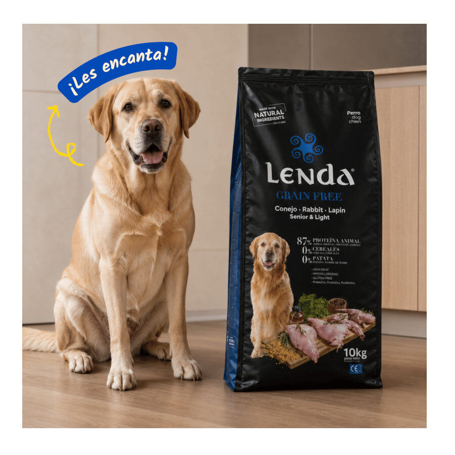 10 kg Lenda Grain Free Light Senior pienso para perros, , large Imagen numero 5