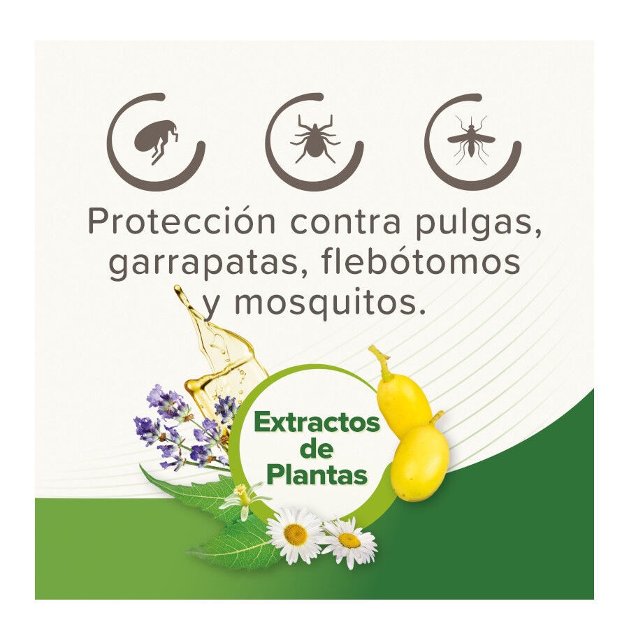 Beaphar Pipetas Repelentes para perros thumbnail