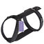 STUCH Arneses acolchado para perros (NEGRO, XS), , large indicador imagen numero 1