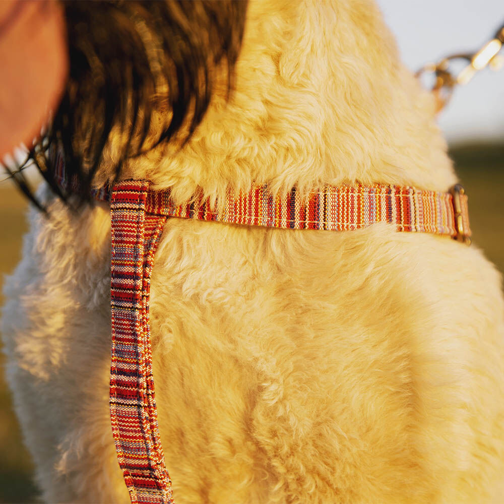 ARN&Eacute;S TOBY - M, , large Imagen numero 2