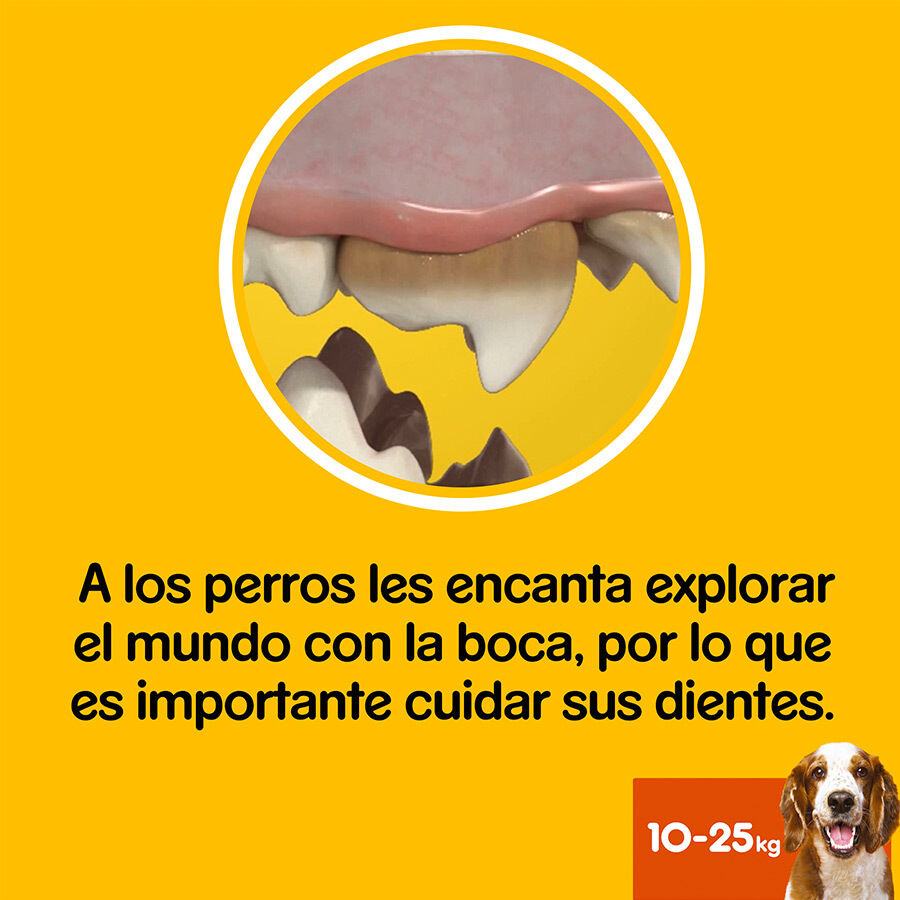 Pedigree Dentastix Snacks Dentales para perros medianos thumbnail