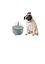 Bebedero fuente automática para gato y perro pequeño, , large indicador imagen numero 3