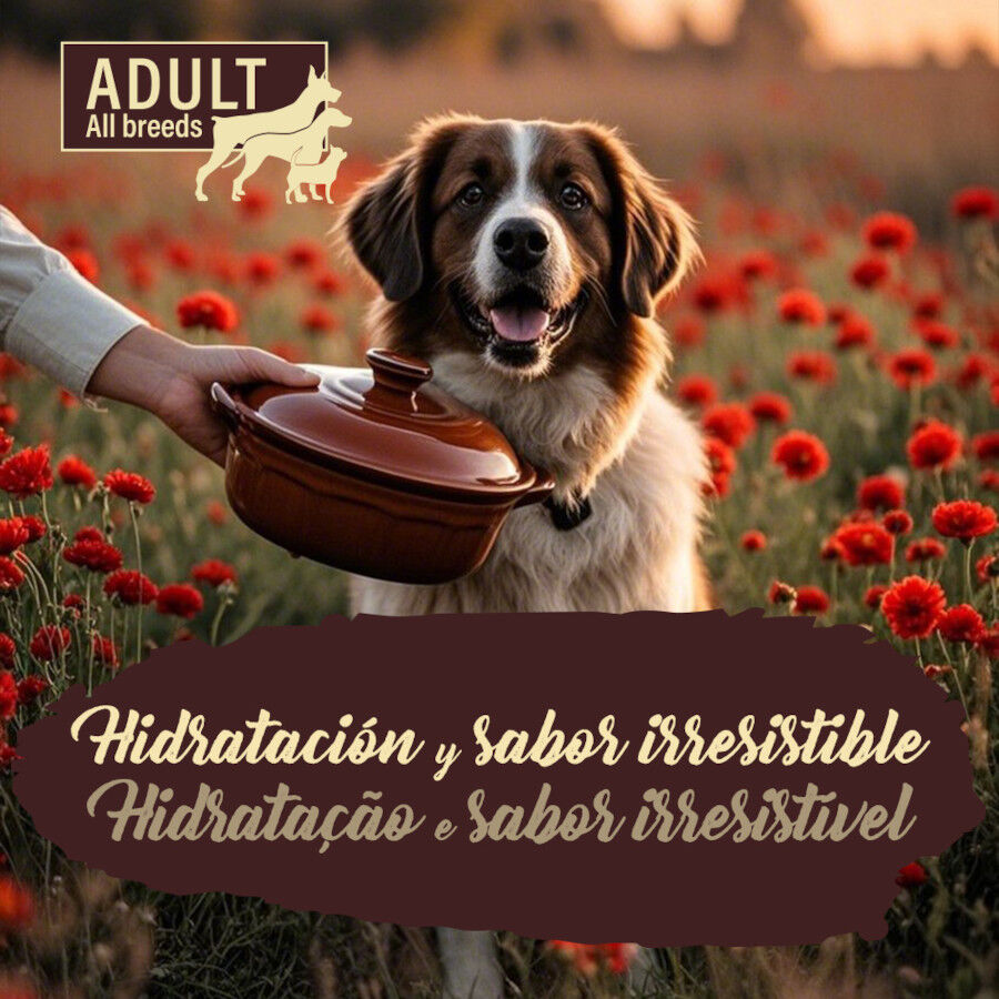 300 g True Origins Pure Adult Gently Coocked Ternera y Calabaza sobre para perros, , large Imagen numero 5