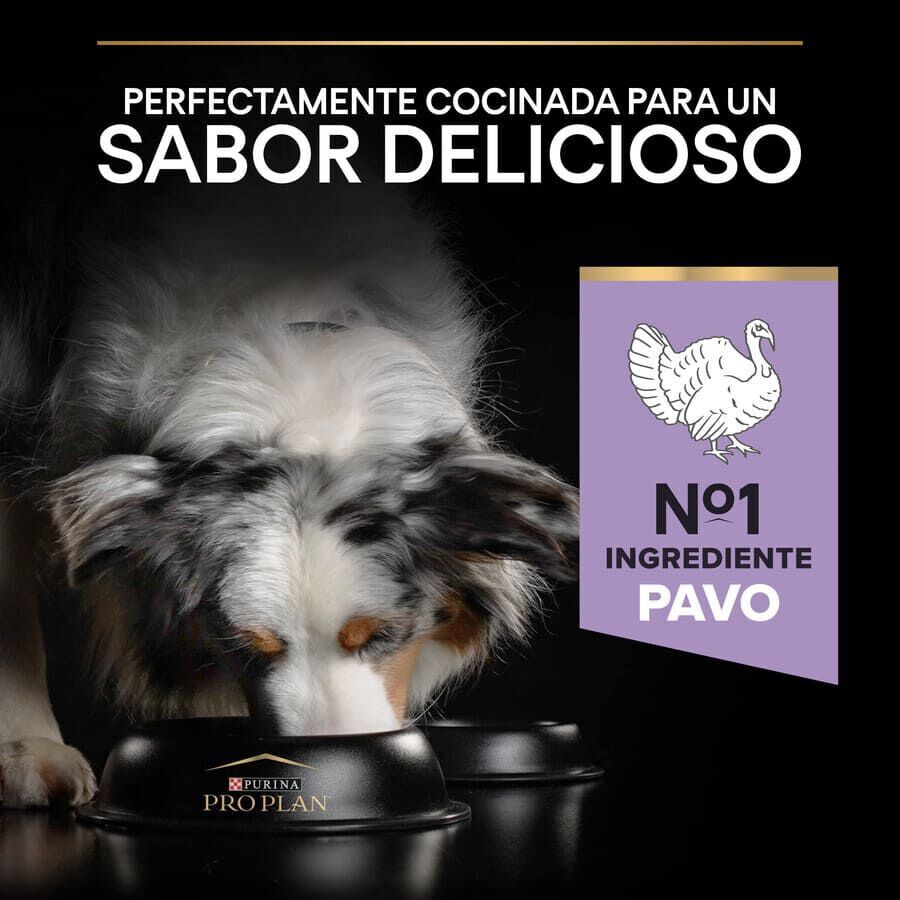 Pro Plan Adult Medium y Large Digestión Pavo pienso para perros thumbnail