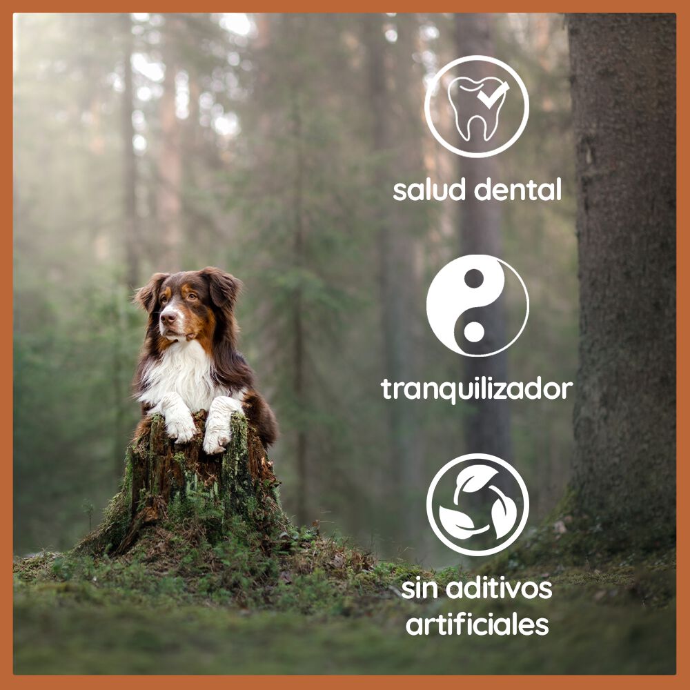 Wildfang Madera de olivo para perros thumbnail