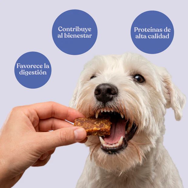 dr. bimix Galletitas de 93% Conejo con Patata y Romero para Perros | Snack Natural Premium, , large Imagen numero 2