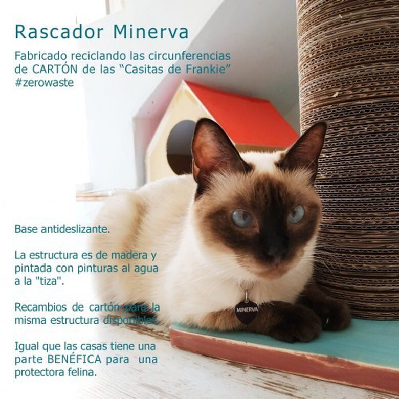 Rascador ecológico Minerva color Marrón, turquesa y madera, , large image number null