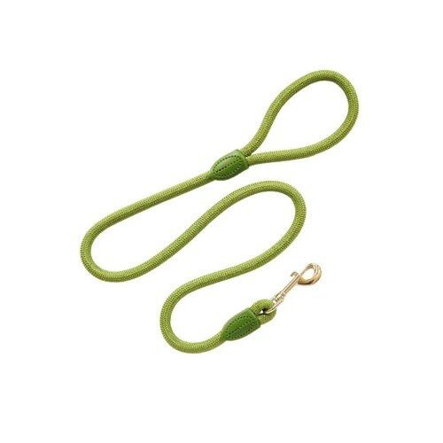 Arppe style correa de nylon redondo verde para perros, , large Imagen numero 1