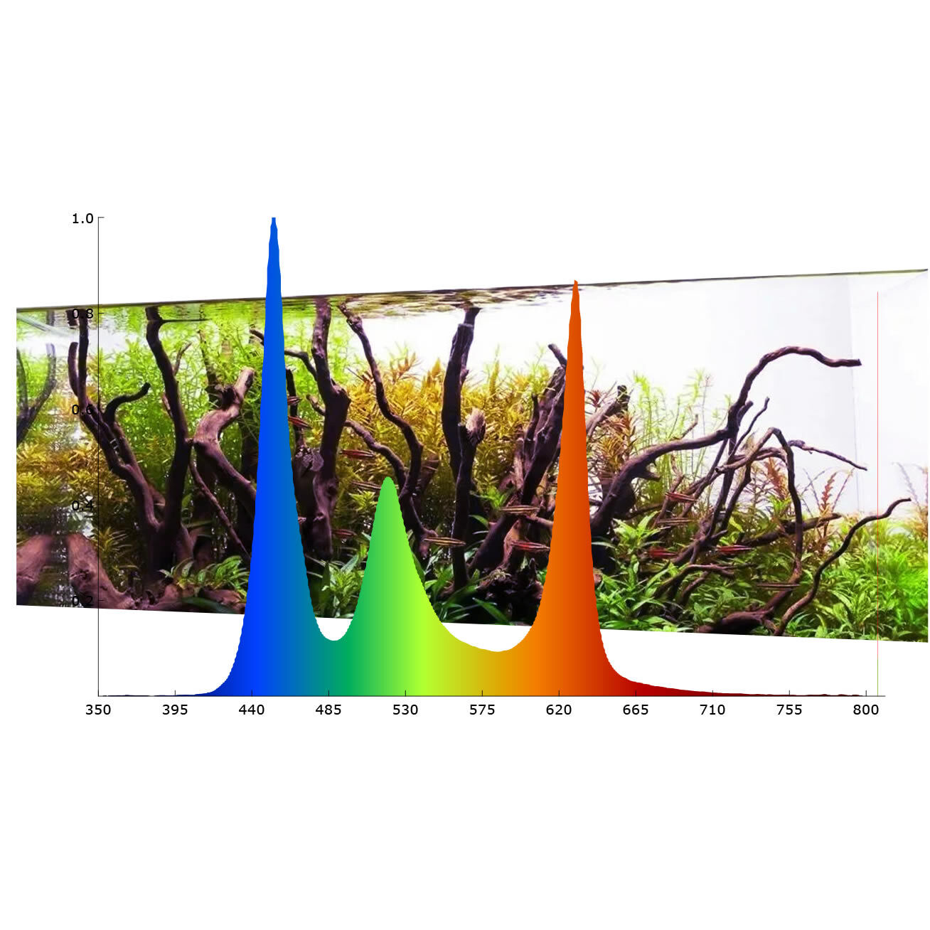 Micmol Luz Led Felix 600 para Acuarios Dulces thumbnail