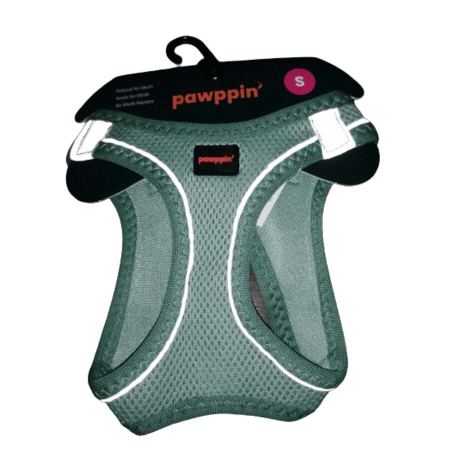 Arnes Air-Mesh Pawppin' Menta M, , large Imagen numero 2