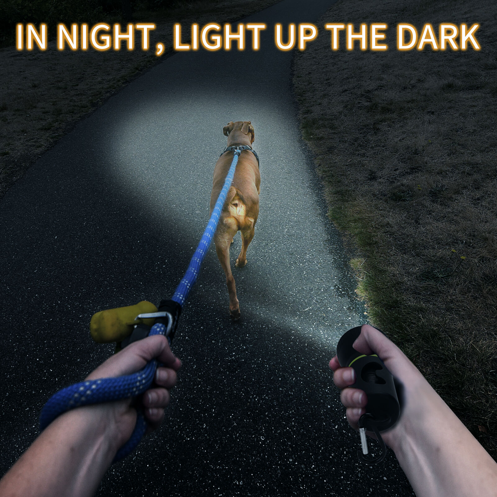 Nobleza Dispensador de Bolsas de Caca para Perro con Linterna LED y Mosquet&oacute;n, , large Imagen numero 2