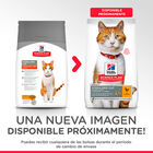 Hill's Young Adult Science Plan Sterilised Pollo pienso para gatos, , large image number null