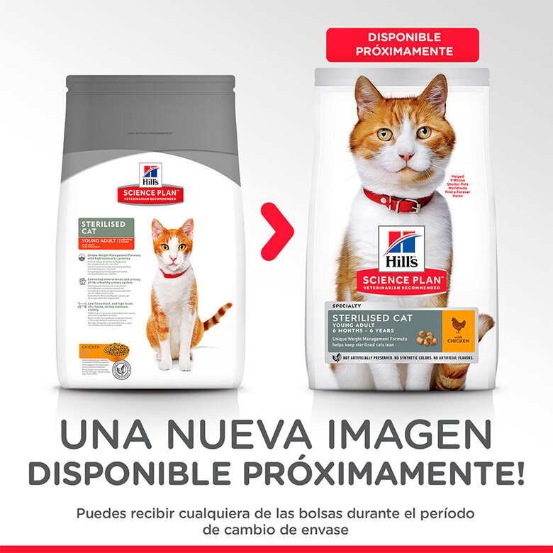 Hill's Science Plan Sterilised Young Adult Pollo pienso para gatos, , large image number null