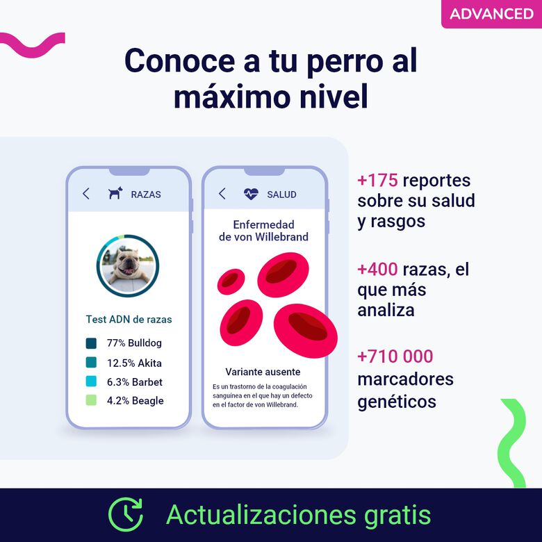Koko Genetics Prueba De ADN Para Perros Advanced thumbnail