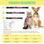 Nobleza - 2Pack Collares LED para perros, Collar Luminoso Perro de Mascota 3 Modos Collar Perro Luz con Recargable y Impermeable, Ajustable Collares LED para Pequeños Medianos Perros, , large indicador imagen numero 2