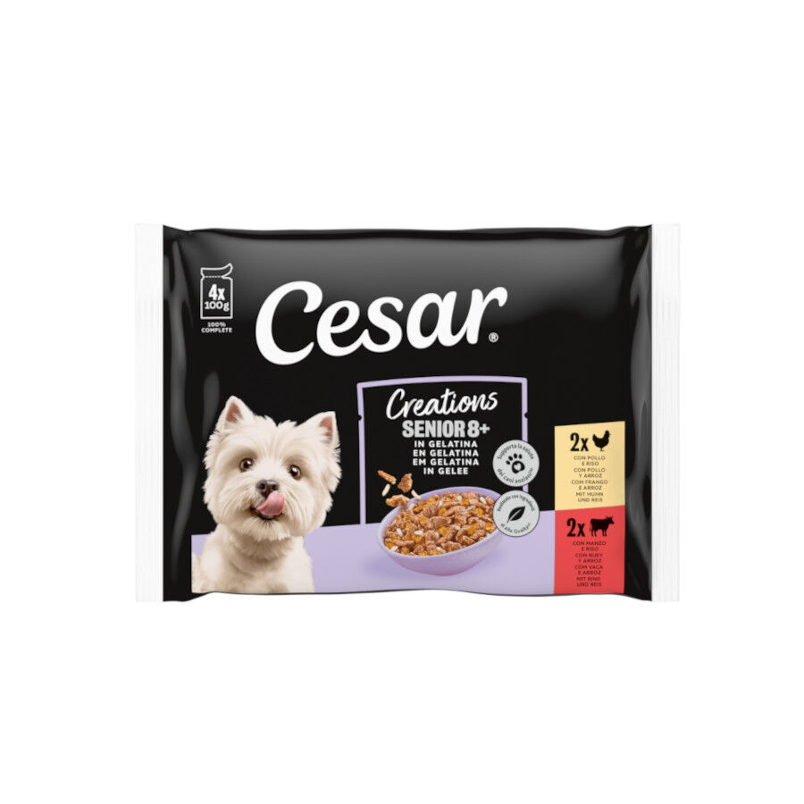 4 sobres x 100 g Cesar Senior 8+ Selecci&oacute;n en Gelatina sobres para perros - Multipack, , large Imagen numero 1