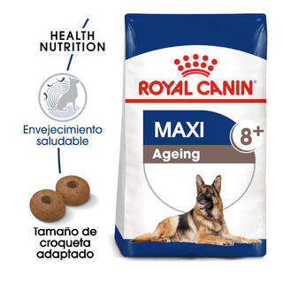 Royal Canin Maxi Ageing 8+ pienso para perros
