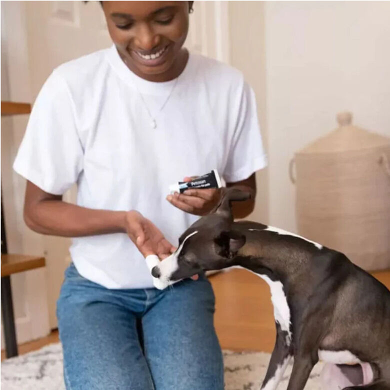 Petosan Kit Dental Grande para perros y gatos thumbnail