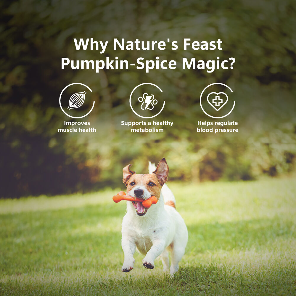 Golosinas liofilizadas para perros: pollo con especias de calabaza (50 g/1,76 oz), , large Imagen numero 5