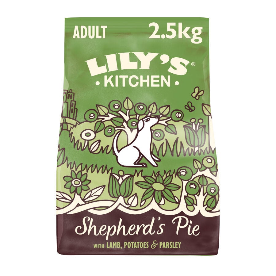 Lily's Kitchen Adult Cordero pienso para perros