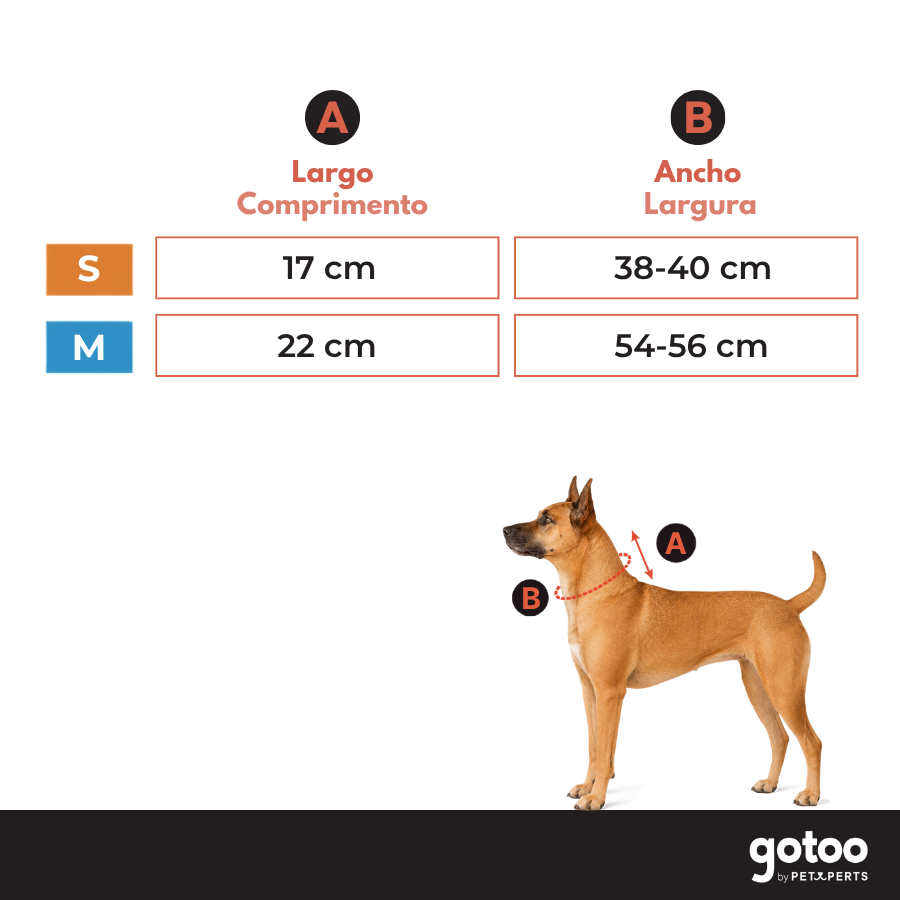 Gotoo Bufanda Estampado Retro para perros, , large Imagen numero 5