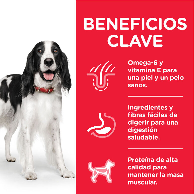 Hill's Adult Science Plan Pavo lata para perros, , large image number null