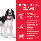 Hill's Adult Science Plan Pavo lata para perros, , large image number null